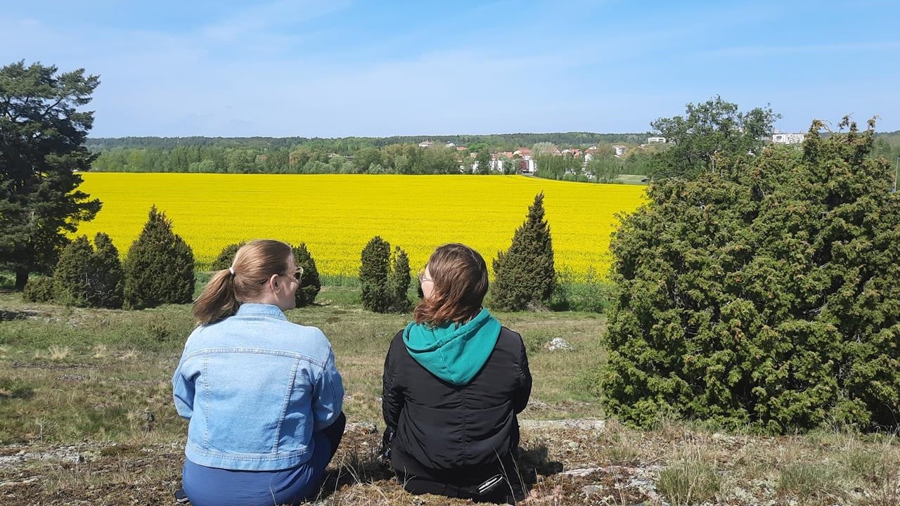 Svanviken-Lindbacke naturreservat