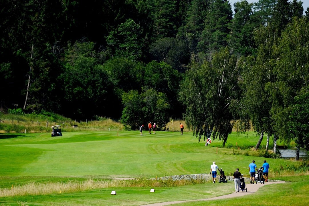 Bild till verksamhet: Golfpaket på Blommenhof Hotell0