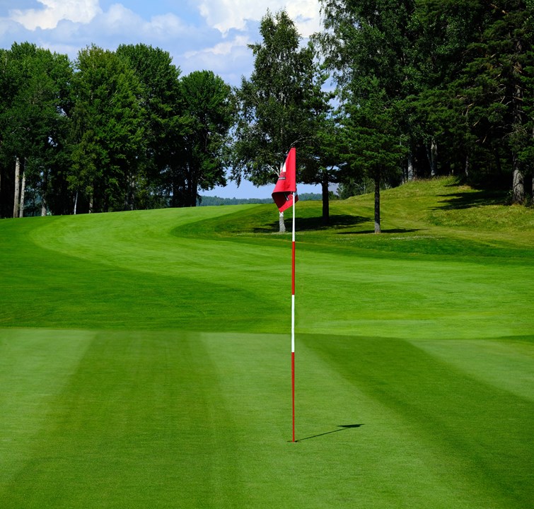 Bild till verksamhet: Golfpaket på Blommenhof Hotell1