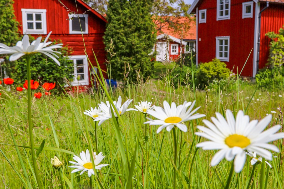 Bild till verksamhet: Sävö2