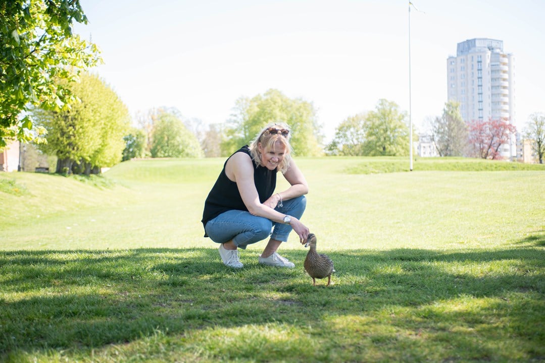 Bild till verksamhet: Inlumino Education0