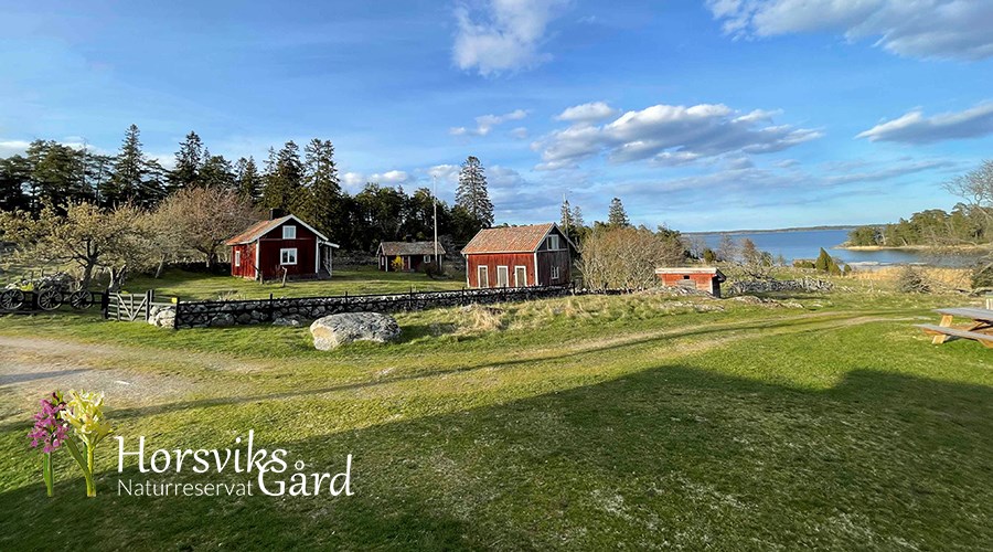 Bild till verksamhet: Horsviks Gård0
