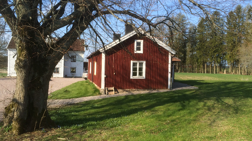 bild på ett rött sommarhus