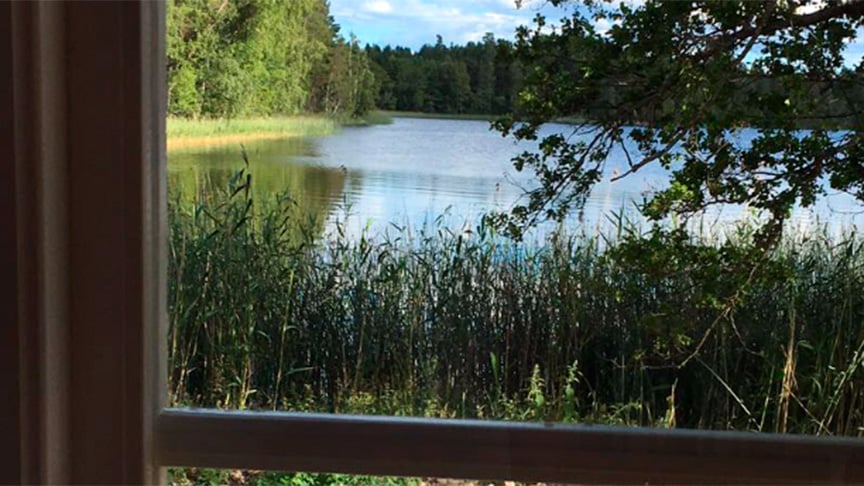 Utsikten från ett fönster