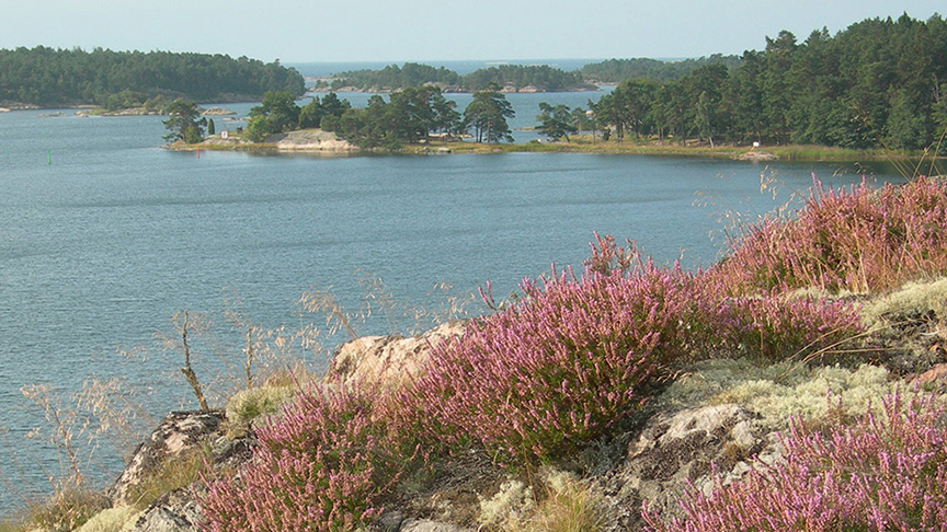 Stora Bergö naturreservat