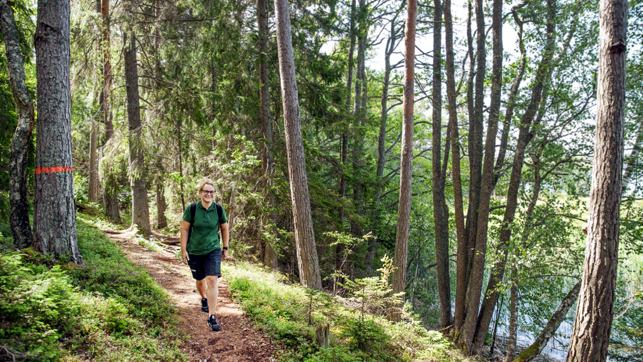 Illsutrationsbild för Sörmlandsleden - 1000 km vandringsled